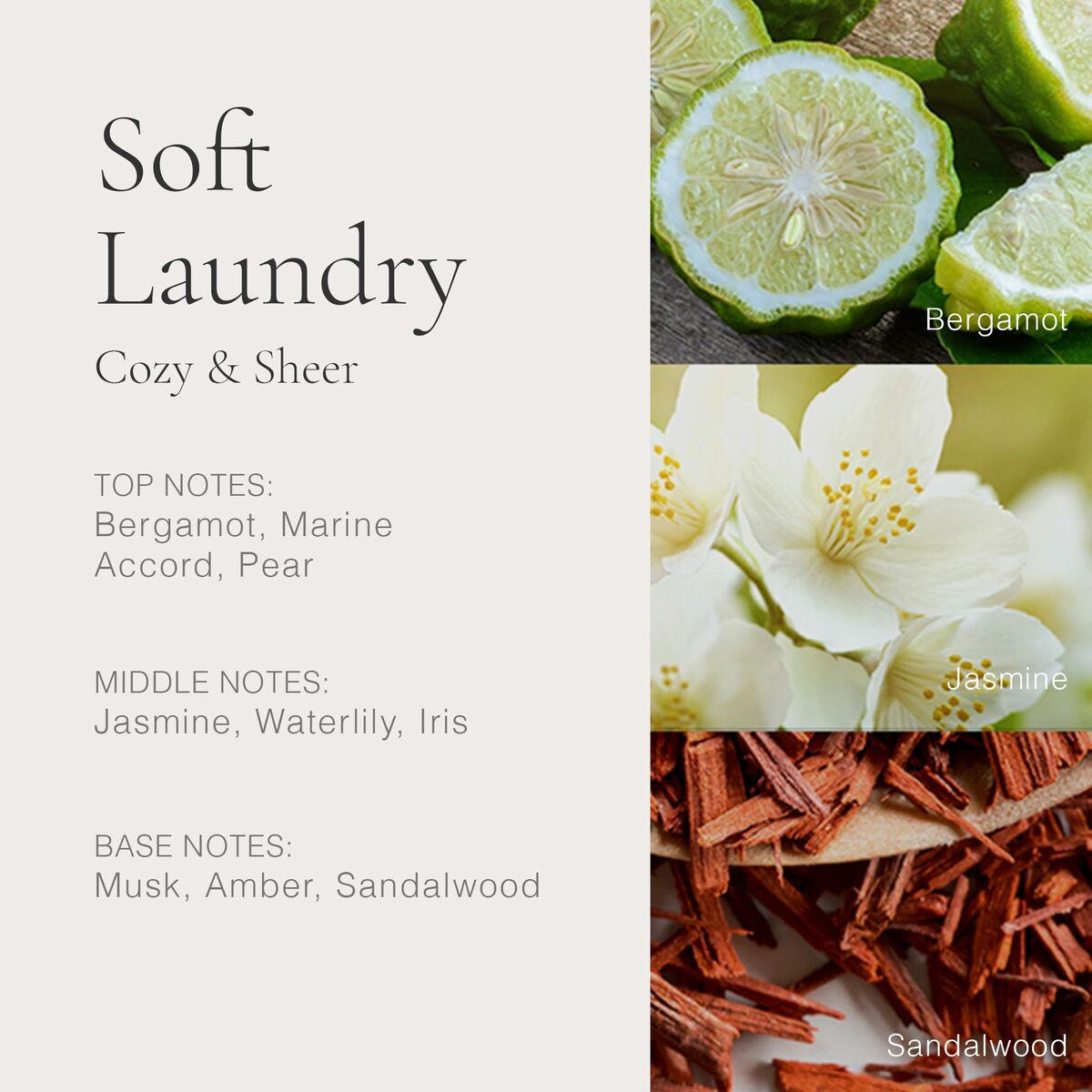 V3HDA3115E668C44A7CE4DBC03DB9DF4458R6863050P4