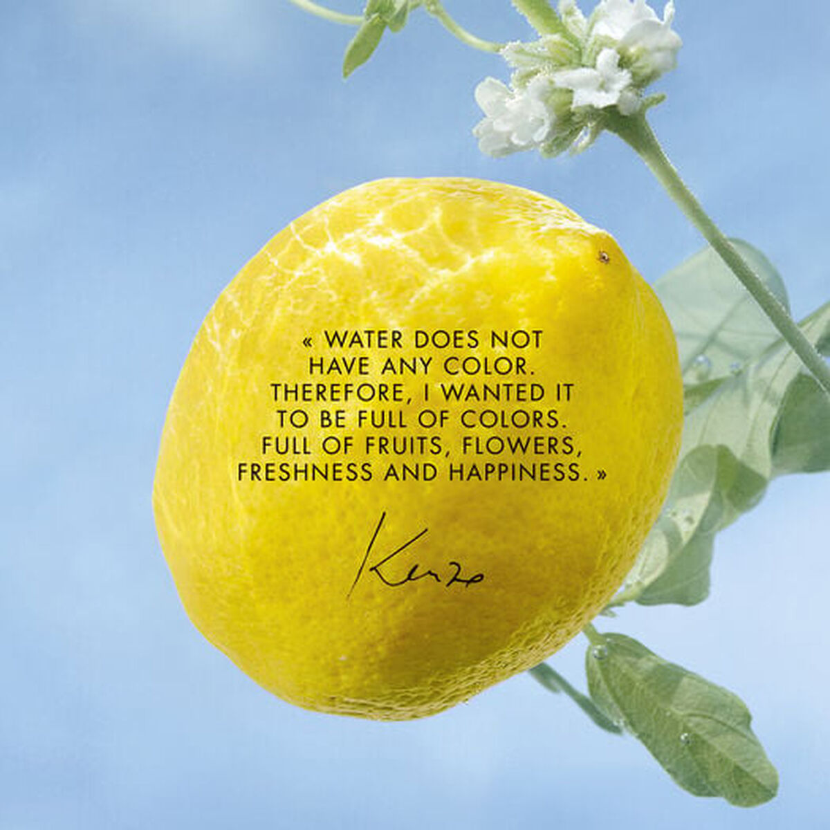 V4H67139E7395846C3EED38E31BC48749E3R6237859P2