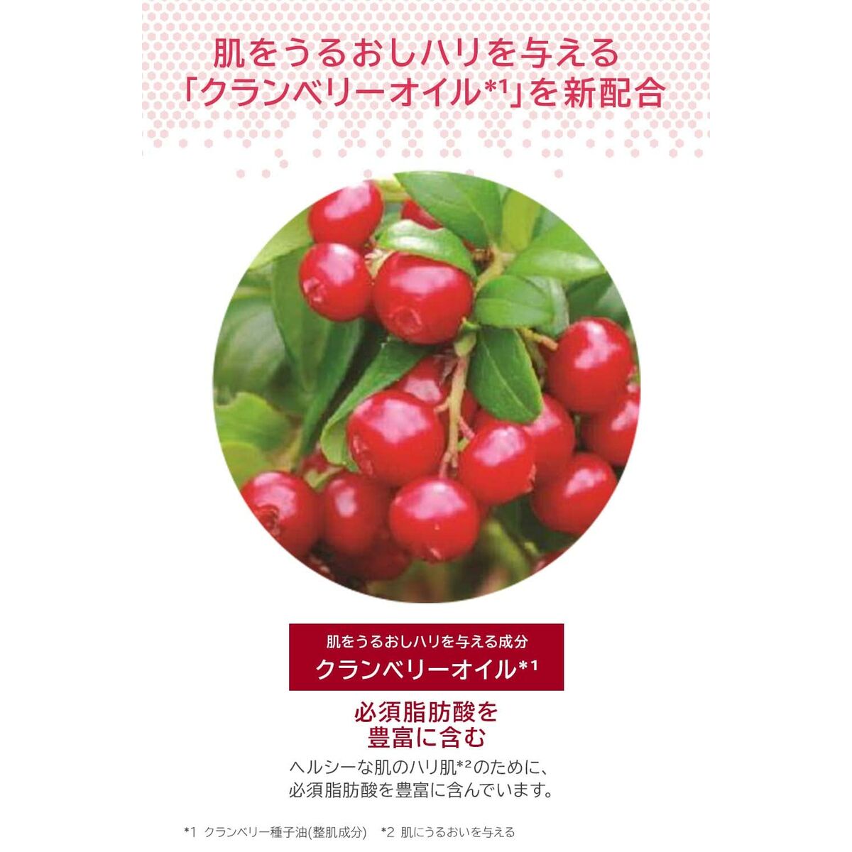 V4H14CB83092A3A9A4954CCB30E0ACC662AR6241607P8