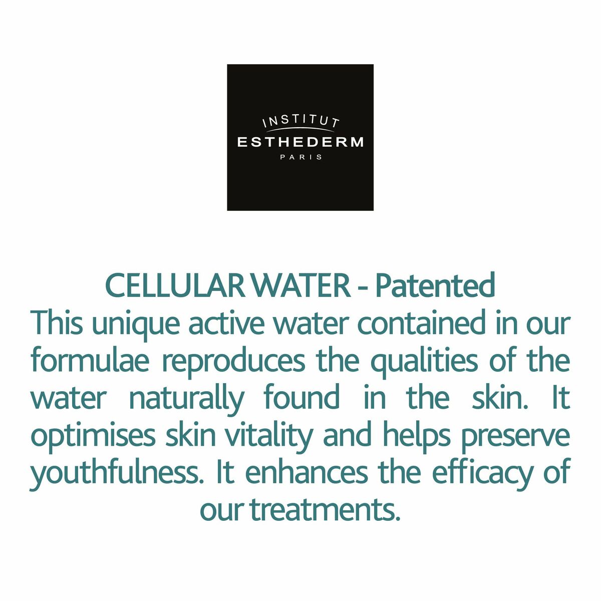 V4HE7B1699A3D674B0D79DB9F60CE109EFER7312647P7