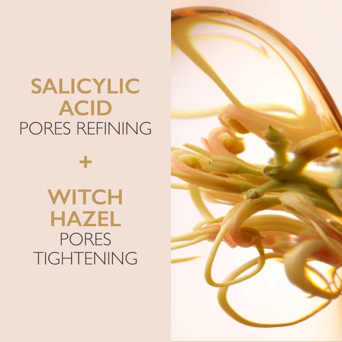 V4H81FA13CF3ADAF53013288F59C85F886CR6445986P6