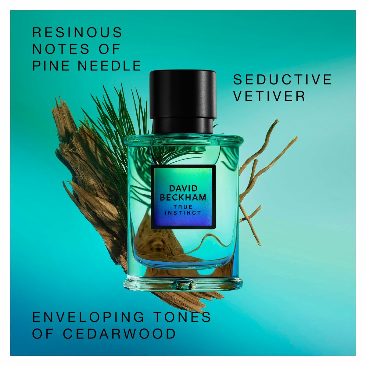 V3H637B880AE999F2A5914B838E8731820DR7175292P4