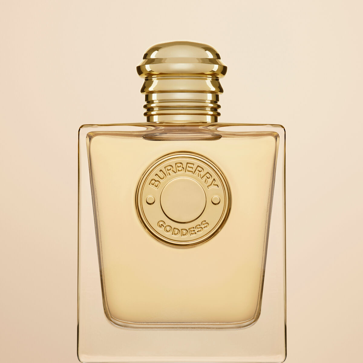 V4HDCDE7CE2B85DEA5C2AF4A2D03CDB5EE5R7327299P9