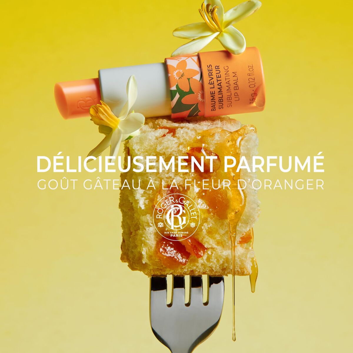 V3H01B099EE18ECD7043FDEB273880C1DA1R7356361P2