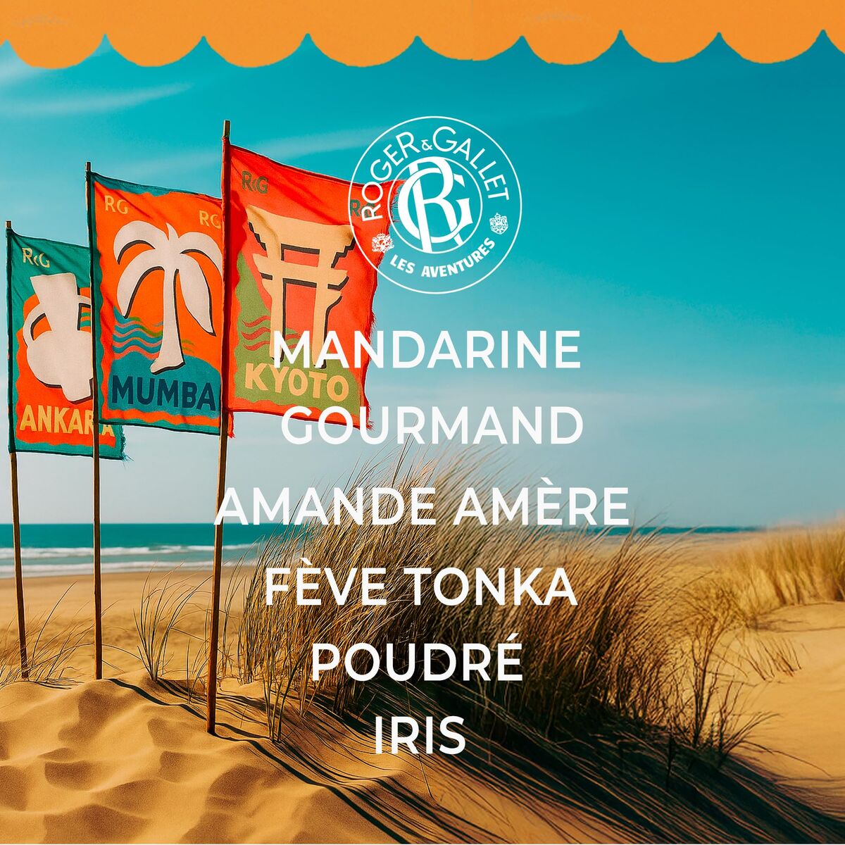 V3H474C4B79071B94720A806E120058A6A4R7356019P4