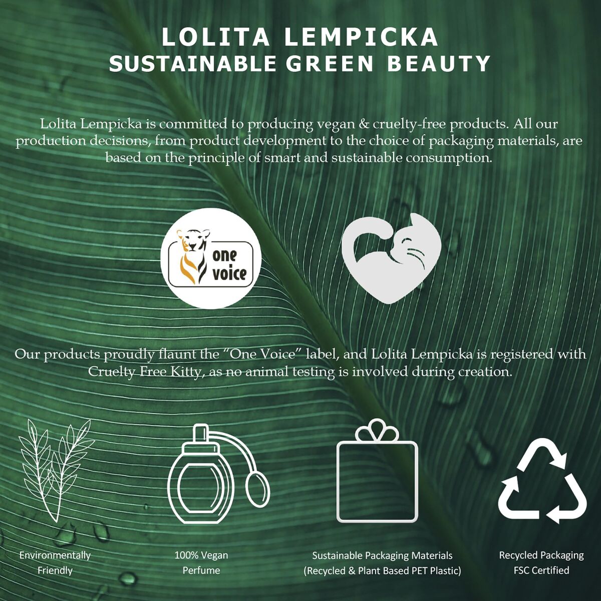 V2H778184E78DE672BB2EC3555AE1BCE5B8R7705276P7