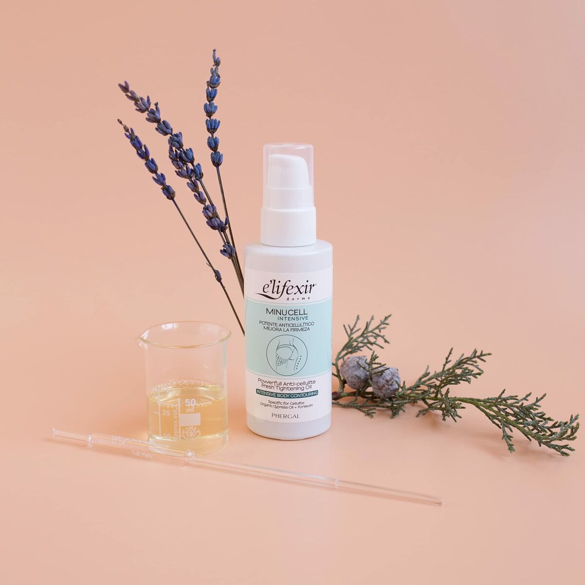 V5H0D42C9C8A6561B7AF43FD8569AD228BCR4468607P3