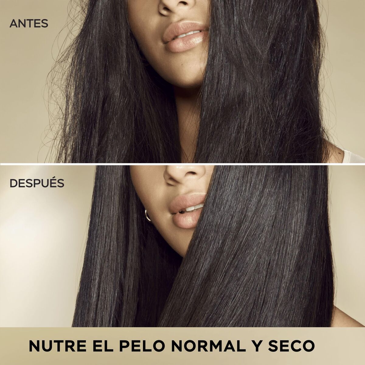 V2H1839DC50EEB326A21D9E7650C1A5D6C5R7506591P4