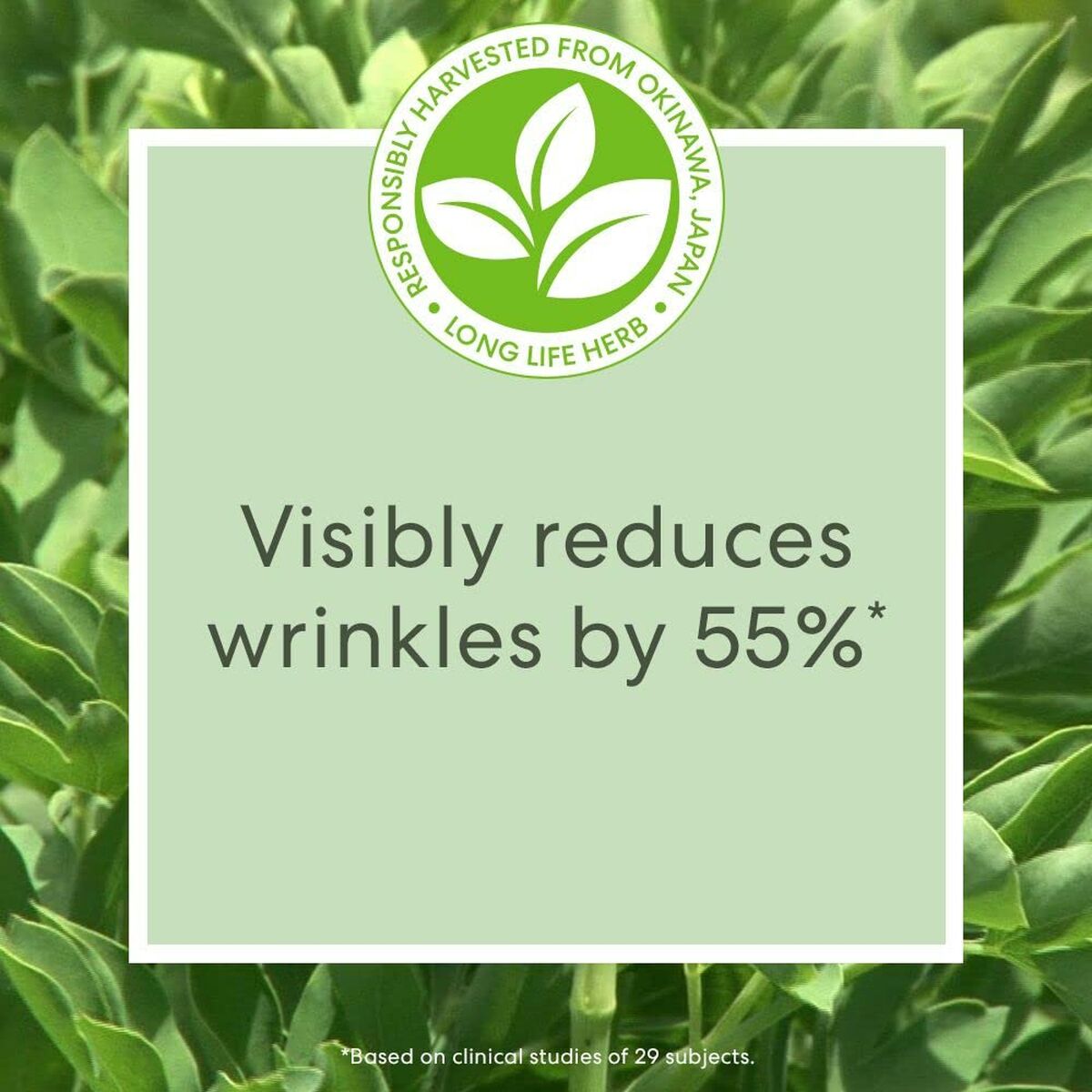 V4HD0FCF6F85749CA043ACBBD867AFE41F6R6239237P2