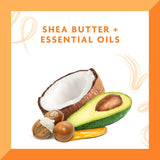 V2HAC9DE02698CADDB2CA2EC0598FB31525R7494701P7