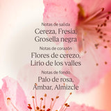 V2H206A9050C818A88AFFF833B27CE6839CR7407083P4