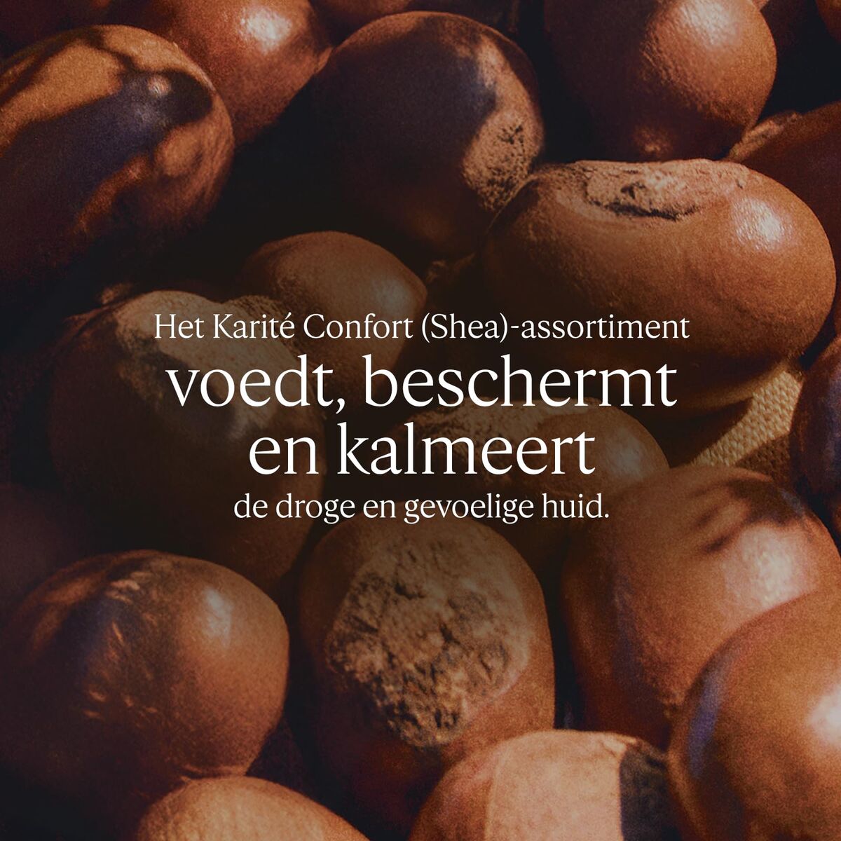 V2H15016DFCAD18DB01056E2CB828B36CAAR7652062P3