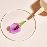 V3HEC8378880EB618C87590BEE154379A1FR7127666P5