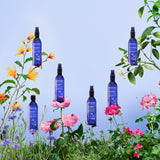 V3H4BE78AB28ACEC0FBF6AD4AE0334BC220R6985293P7