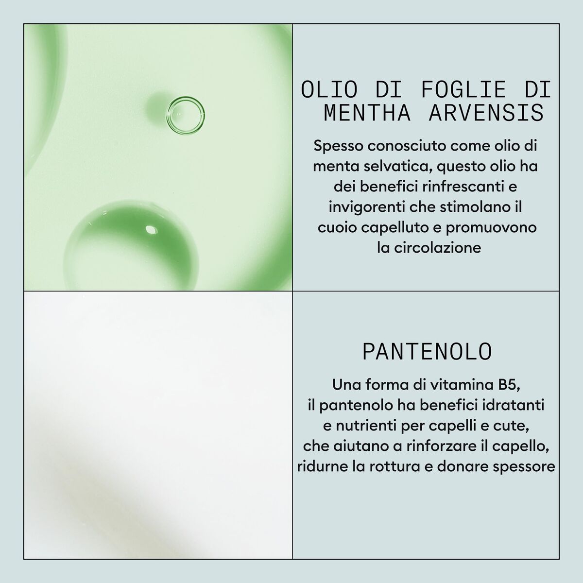 V2H8FA5F48E80A3CF52370F631C9C29DDDFR7512379P6