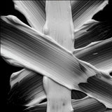 V3HC6AD60F7CE533DC46B7B6E82540B0603R7713991P2