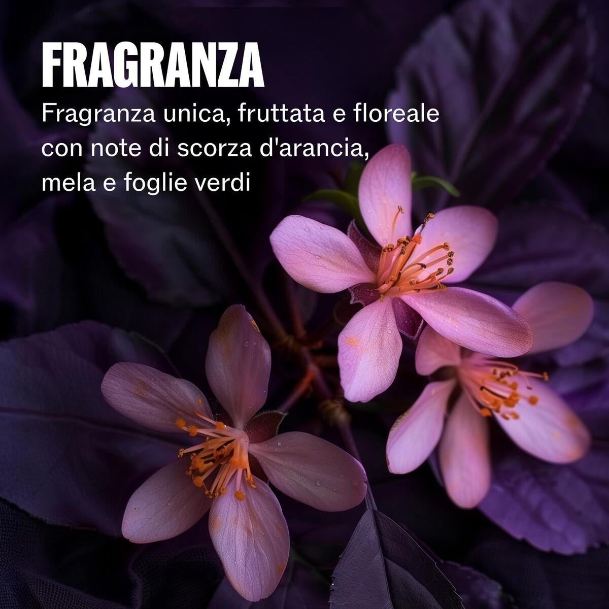 V2HFCDCFEEC468236187A5B7C1B978B3DA9R7662714P9