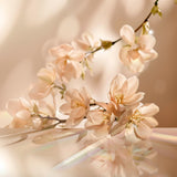 V2H93200597BD69C33925E1A091F16599EDR7711385P2