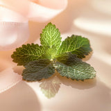 V2H78FDF58B04A23070DB23DD9D0BC1827FR7415529P4