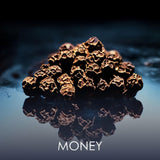 V2H247DF77C828DC58216B81B8E00096F9DR7401129P4