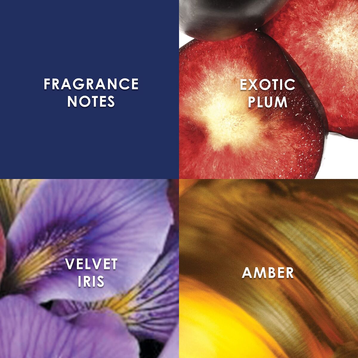 V3HAFBAC7051AFD06224B25B4C50448F2D1R7526077P4