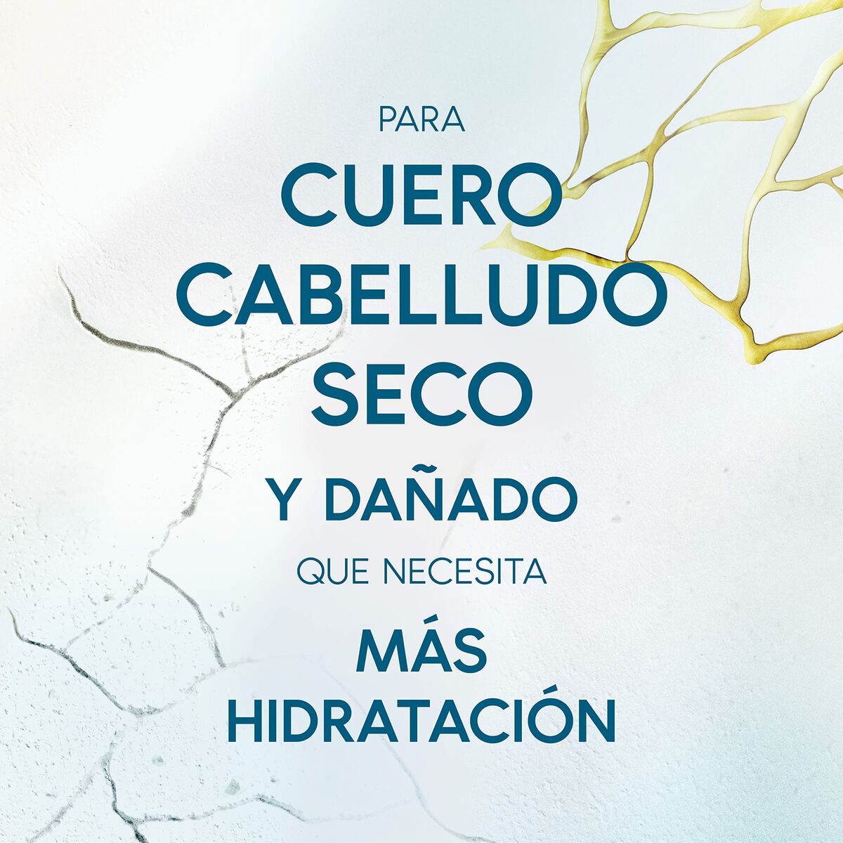 V5H3C9053C76FFDA239B983E62AEE5B1D3DR3652895P4