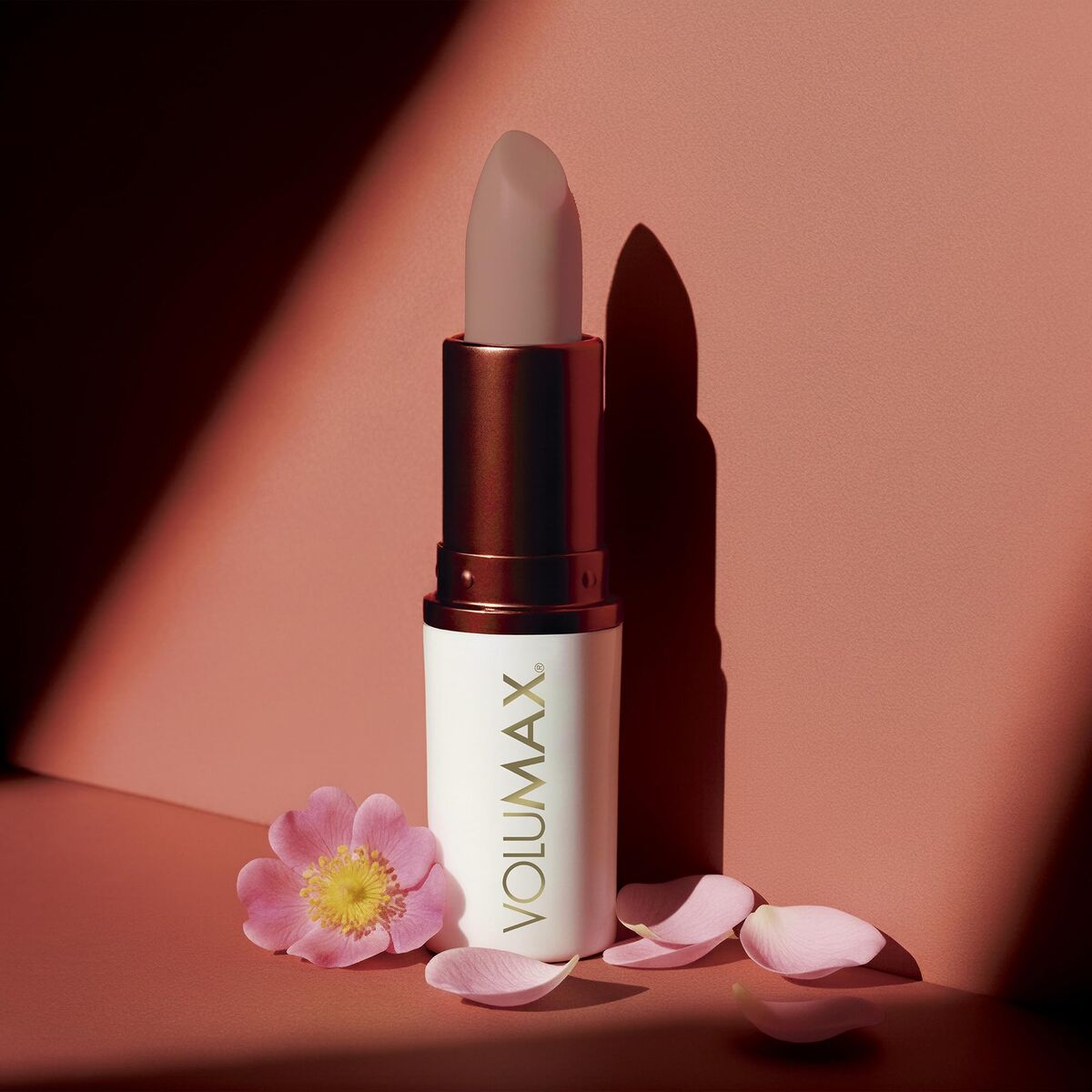 V2H8C1627C1B051EAC2865533BC840E9562R7706953P8